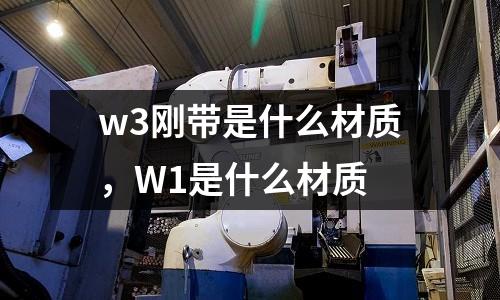 w3剛帶是什么材質，W1是什么材質