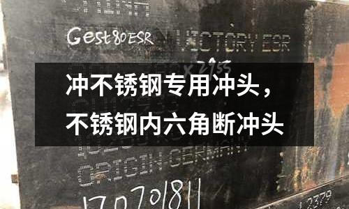 沖不銹鋼專用沖頭,不銹鋼內六角斷沖頭