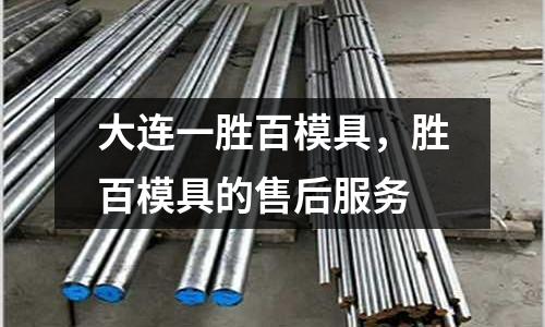 大連一勝百模具,勝百模具的售后服務