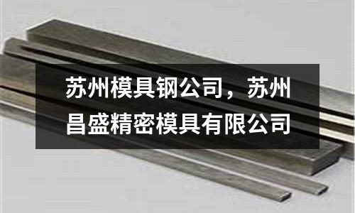 蘇州模具鋼公司,蘇州昌盛精密模具有限公司