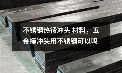 不銹鋼熱鍛沖頭 材料,五金模沖頭用不銹鋼可以嗎