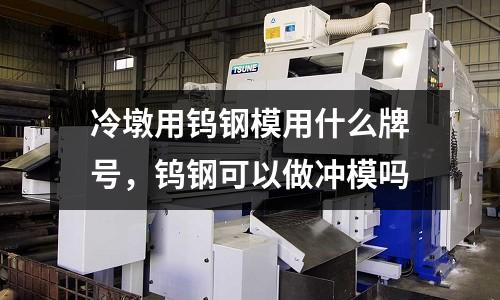 冷墩用鎢鋼模用什么牌號，鎢鋼可以做沖模嗎