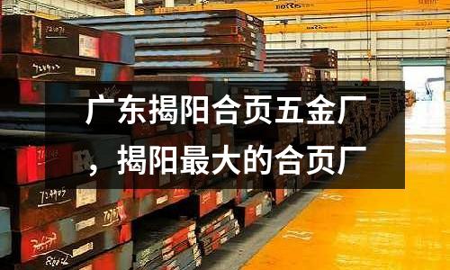 廣東揭陽合頁五金廠,揭陽最大的合頁廠