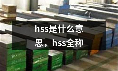 hss是什么意思，hss全稱