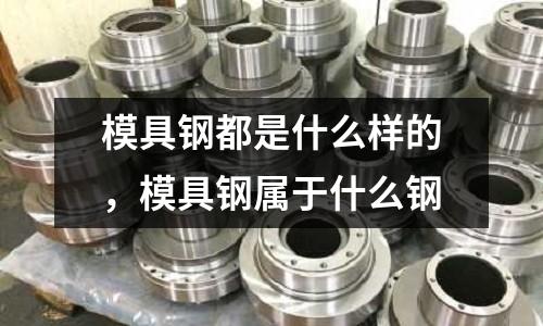 模具鋼都是什么樣的,模具鋼屬于什么鋼