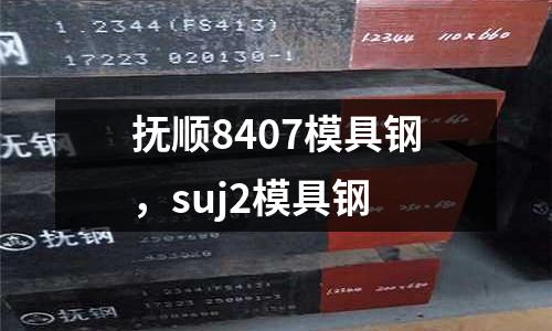 撫順8407模具鋼,suj2模具鋼