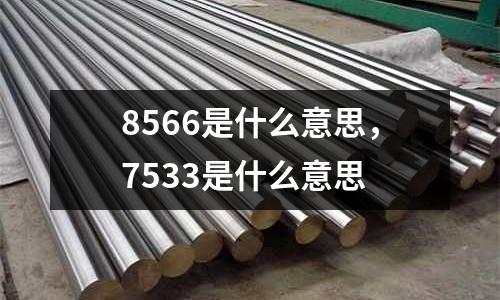 8566是什么意思，7533是什么意思