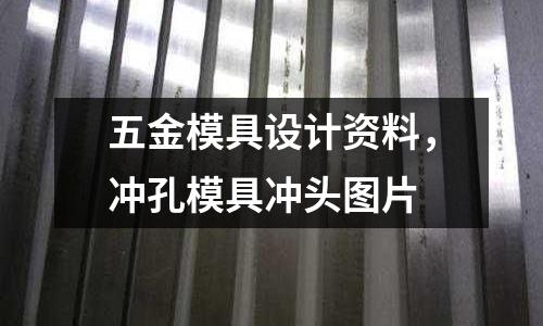 五金模具設(shè)計(jì)資料，沖孔模具沖頭圖片