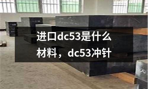 進(jìn)口dc53是什么材料，dc53沖針