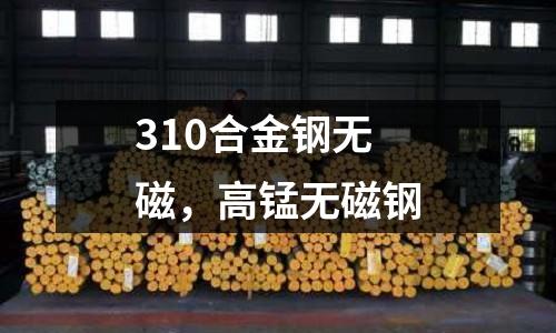 310合金鋼無(wú)磁,高錳無(wú)磁鋼