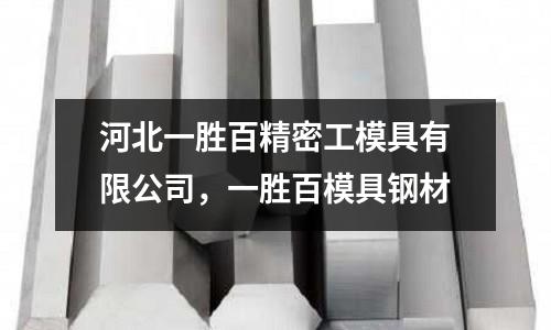 河北一勝百精密工模具有限公司，一勝百模具鋼材
