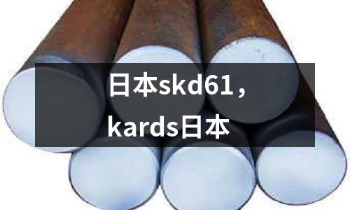 日本skd61,kards日本