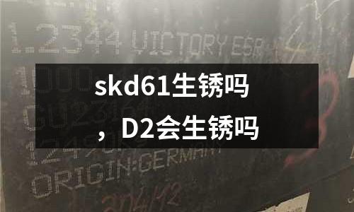 skd61生銹嗎，D2會(huì)生銹嗎
