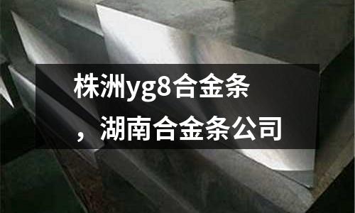 株洲yg8合金條，湖南合金條公司