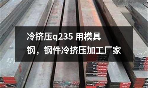 冷擠壓q235 用模具鋼,鋼件冷擠壓加工廠家