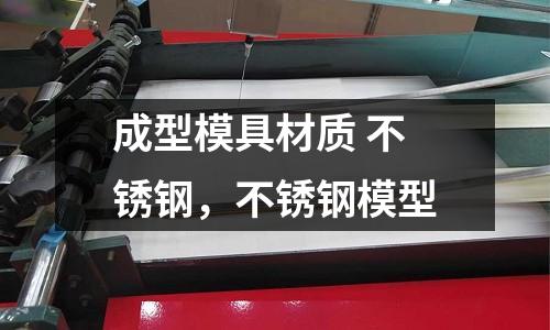 成型模具材質(zhì) 不銹鋼，不銹鋼模型