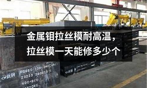金屬鉬拉絲模耐高溫,拉絲模一天能修多少個