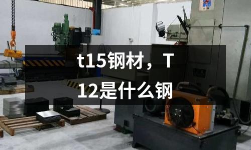 t15鋼材，T12是什么鋼