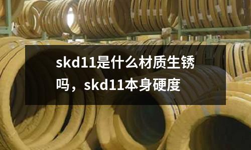 skd11是什么材質(zhì)生銹嗎,skd11本身硬度