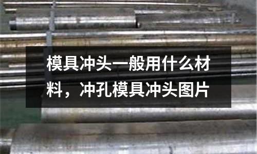 模具沖頭一般用什么材料,沖孔模具沖頭圖片