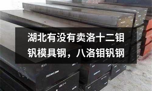 湖北有沒有賣洛十二鉬釩模具鋼，八洛鉬釩鋼