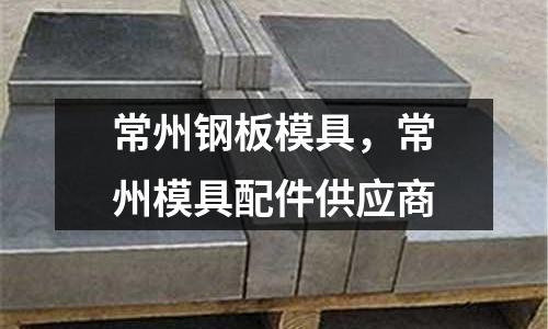 常州鋼板模具，常州模具配件供應商