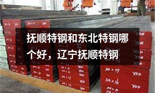 撫順特鋼和東北特鋼哪個好,遼寧撫順特鋼