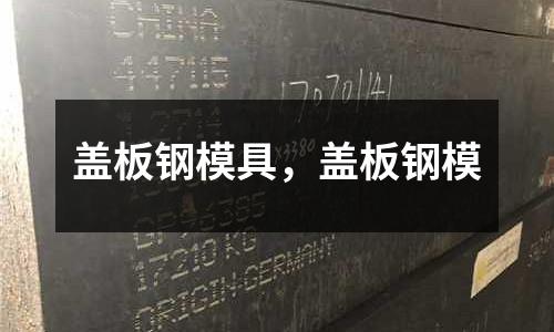 蓋板鋼模具，蓋板鋼模