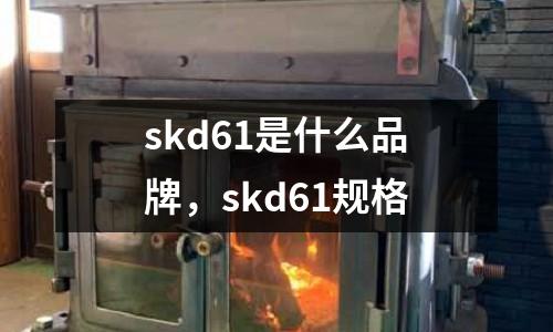 skd61是什么品牌,skd61規(guī)格