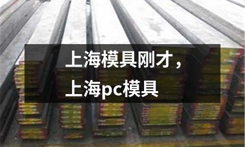 上海模具剛才，上海pc模具