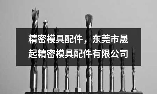 精密模具配件，東莞市晟起精密模具配件有限公司