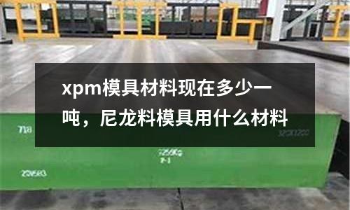 xpm模具材料現在多少一噸,尼龍料模具用什么材料