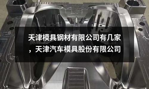 天津模具鋼材有限公司有幾家，天津汽車模具股份有限公司
