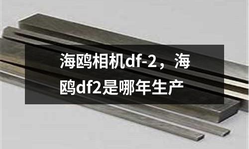 海鷗相機df-2,海鷗df2是哪年生產