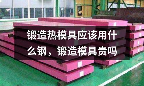 鍛造熱模具應該用什么鋼,鍛造模具貴嗎