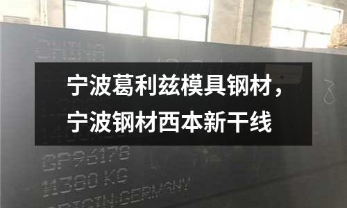寧波葛利茲模具鋼材,寧波鋼材西本新干線