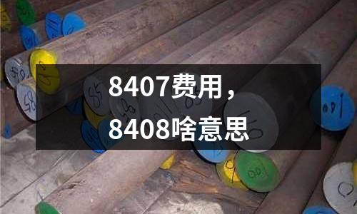 8407費用,8408啥意思