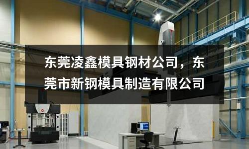 東莞凌鑫模具鋼材公司，東莞市新鋼模具制造有限公司