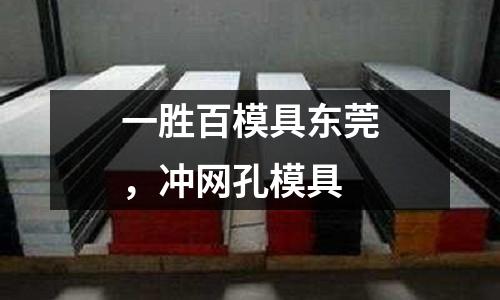 一勝百模具東莞,沖網孔模具