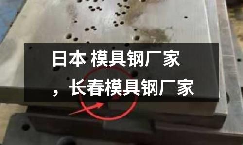 日本 模具鋼廠家，長春模具鋼廠家