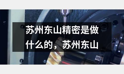 蘇州東山精密是做什么的,蘇州東山