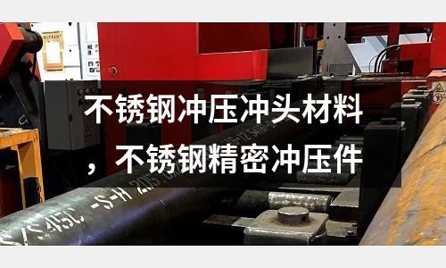 不銹鋼沖壓沖頭材料，不銹鋼精密沖壓件