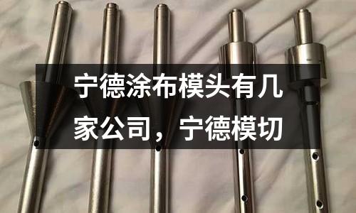 寧德涂布模頭有幾家公司，寧德模切