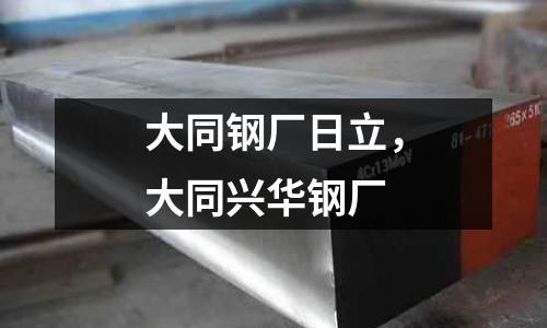 大同鋼廠日立，大同興華鋼廠