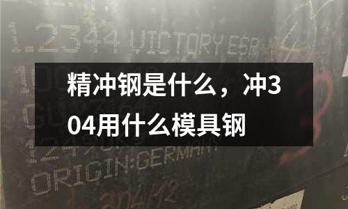 精沖鋼是什么，沖304用什么模具鋼