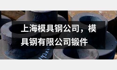 上海模具鋼公司，模具鋼有限公司鍛件