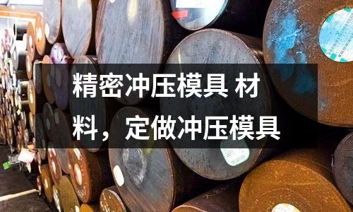精密沖壓模具 材料，定做沖壓模具