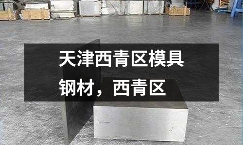 天津西青區模具鋼材,西青區