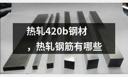 熱軋420b鋼材,熱軋鋼筋有哪些