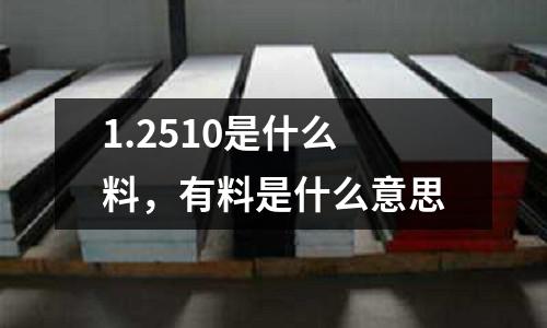 1.2510是什么料,有料是什么意思